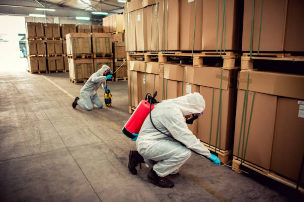 Best Affordable Pest Control Services  in Folsom, PA