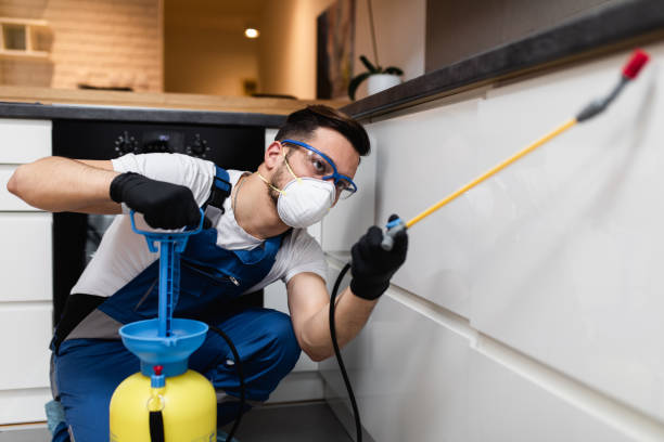 Best Best Pest Control Companies  in Folsom, PA