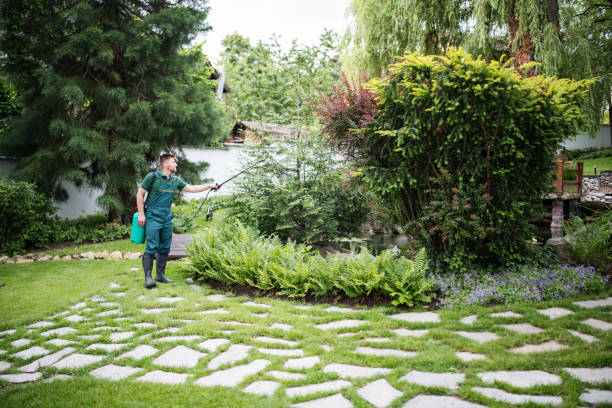 Best Bird Control  in Folsom, PA