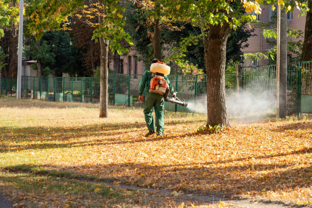 Best Flea Control Services  in Folsom, PA