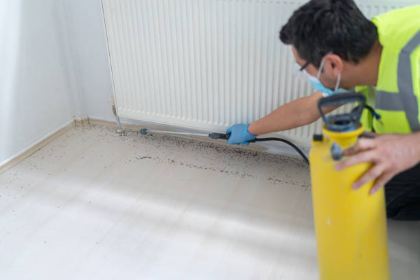Best Residential Pest Control  in Folsom, PA